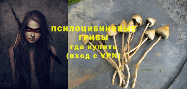 apvp Алексеевка