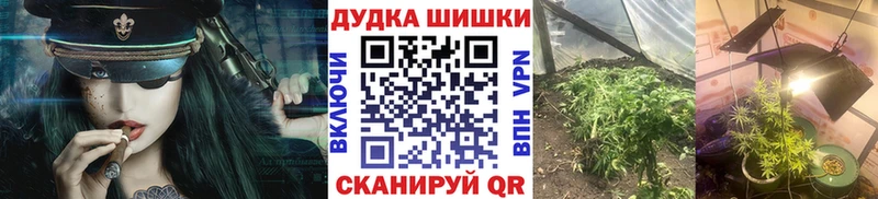 купить закладку  Ачхой-Мартан  Бошки марихуана MAZAR 